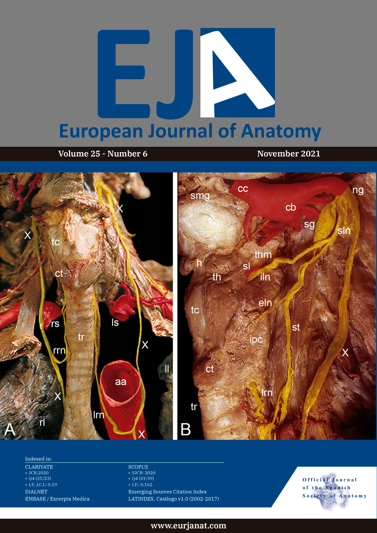 european-journal-of-anatomy-vol_25_5-1200